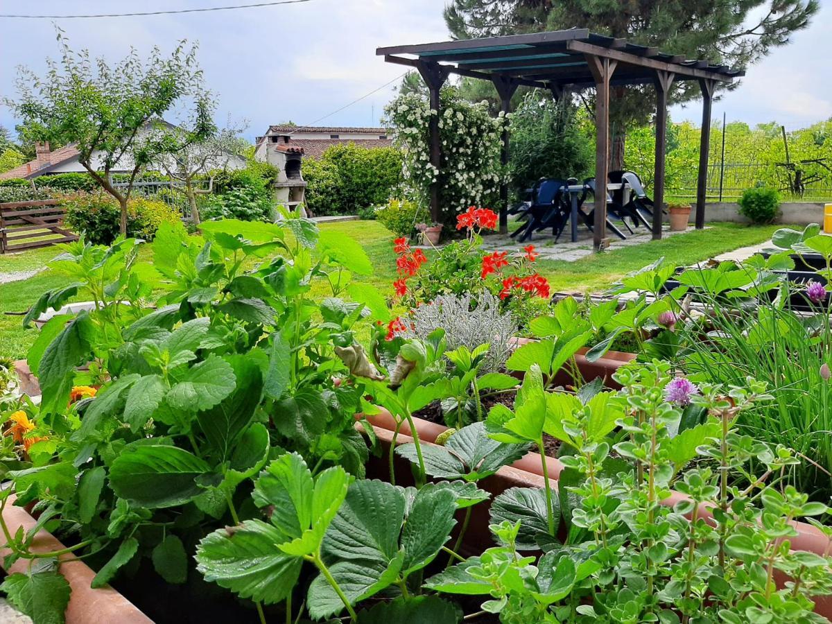 فيلا Cascina Teresina Monferrato Piscina Cortazzone المظهر الخارجي الصورة