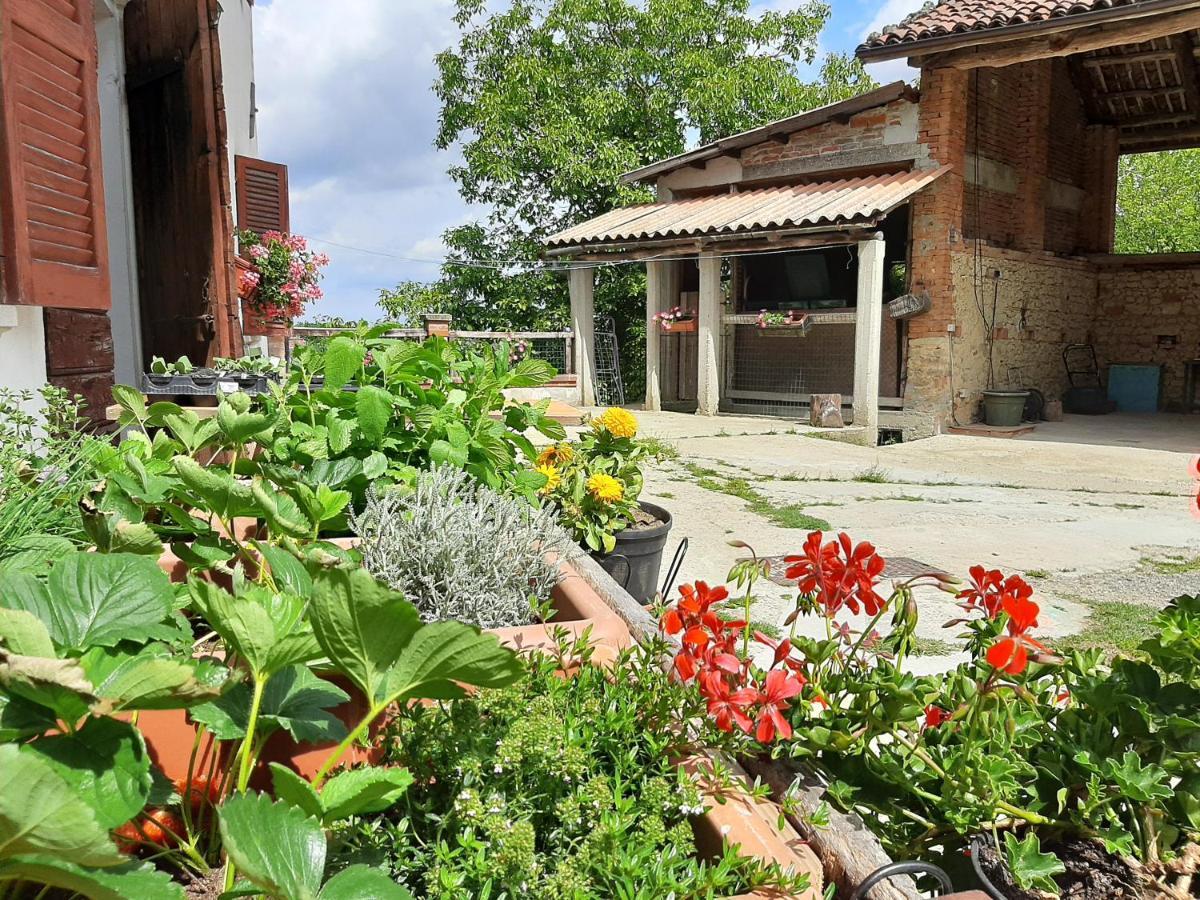 فيلا Cascina Teresina Monferrato Piscina Cortazzone المظهر الخارجي الصورة